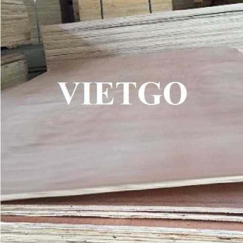 Thương vụ xuất khẩu gỗ dán đến thị trường Ấn Độ
