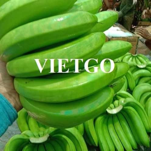 Cơ hội xuất khẩu chuối sang thị trường Trung Quốc