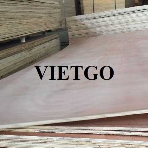 Thương vụ xuất khẩu gỗ dán sang thị trường Ấn Độ