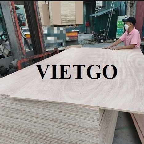 Thương vụ xuất khẩu gỗ dán sang thị trường Ấn Độ