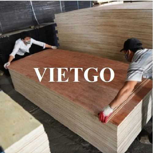 Thương vụ xuất khẩu gỗ dán sang thị trường Ấn Độ