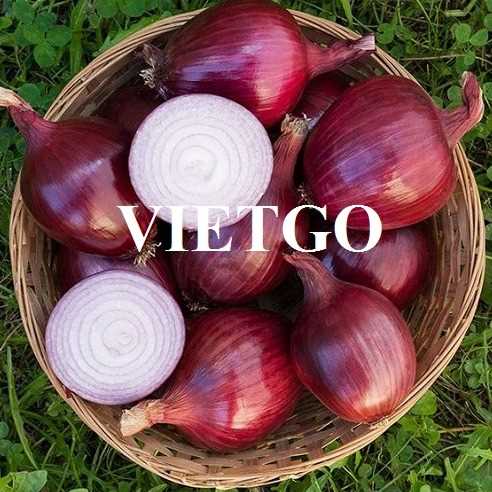 Thương vụ xuất khẩu hành tím sang thị trường Ấn Độ