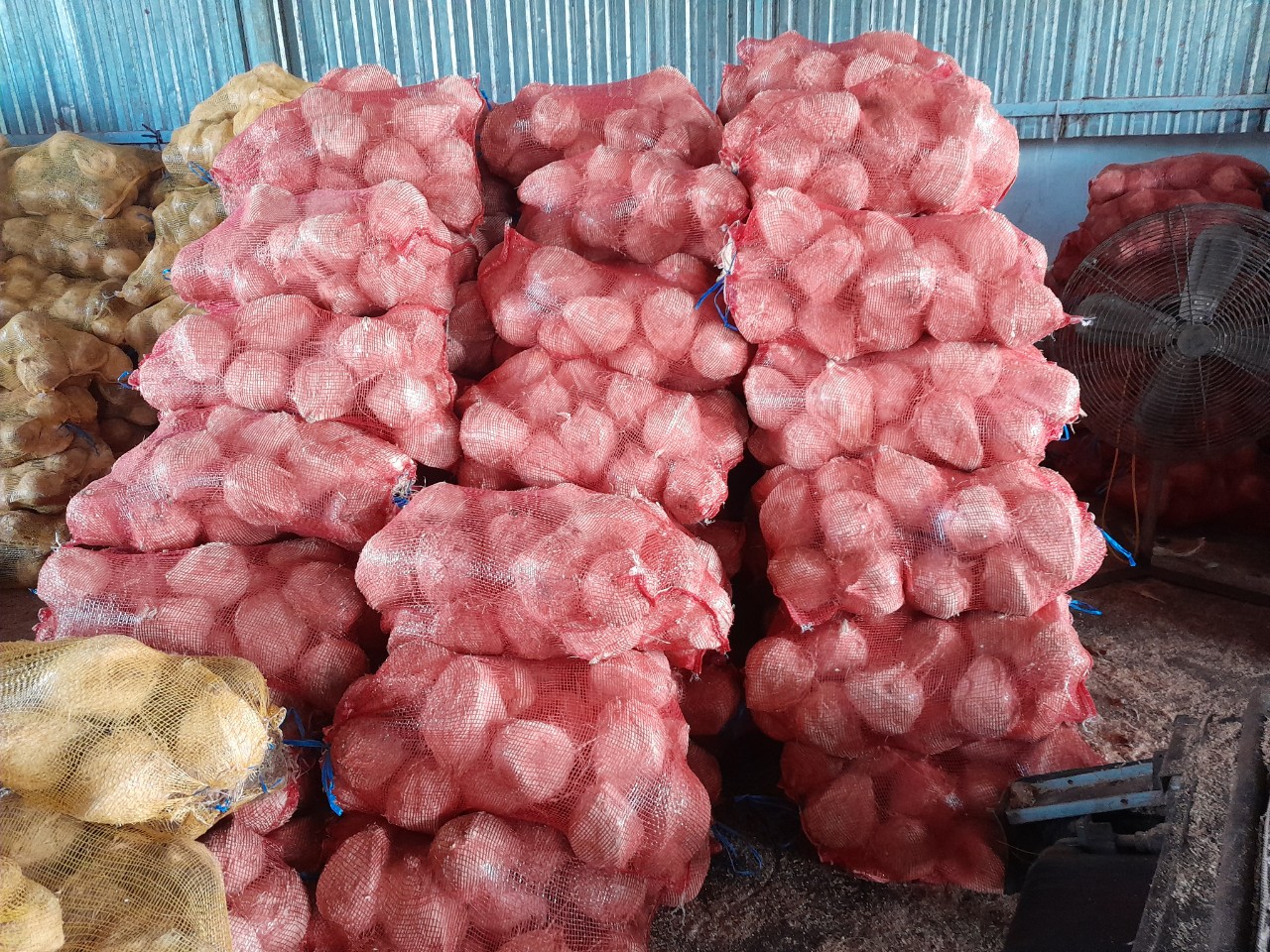 Cần tìm cước vận chuyển cho mặt hàng dừa khô bóc vỏ đi Thổ Nhĩ Kỳ