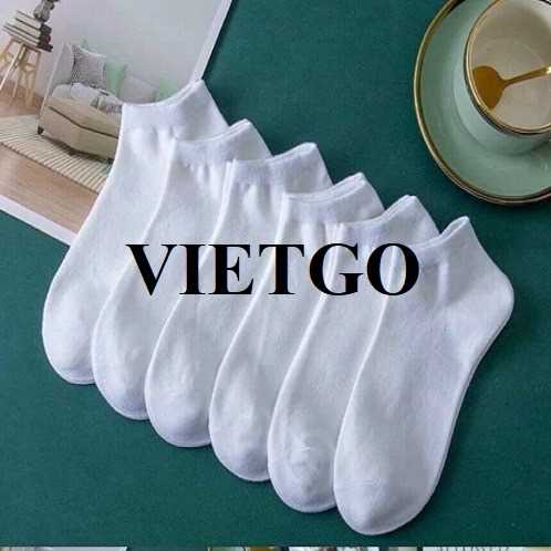 Cơ hội xuất khẩu bít tất sang thị trường Nga