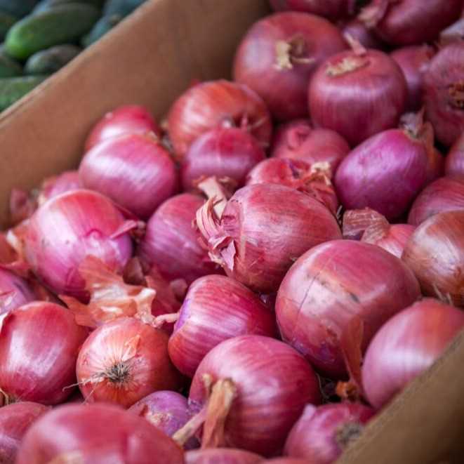 i want to buy Onion