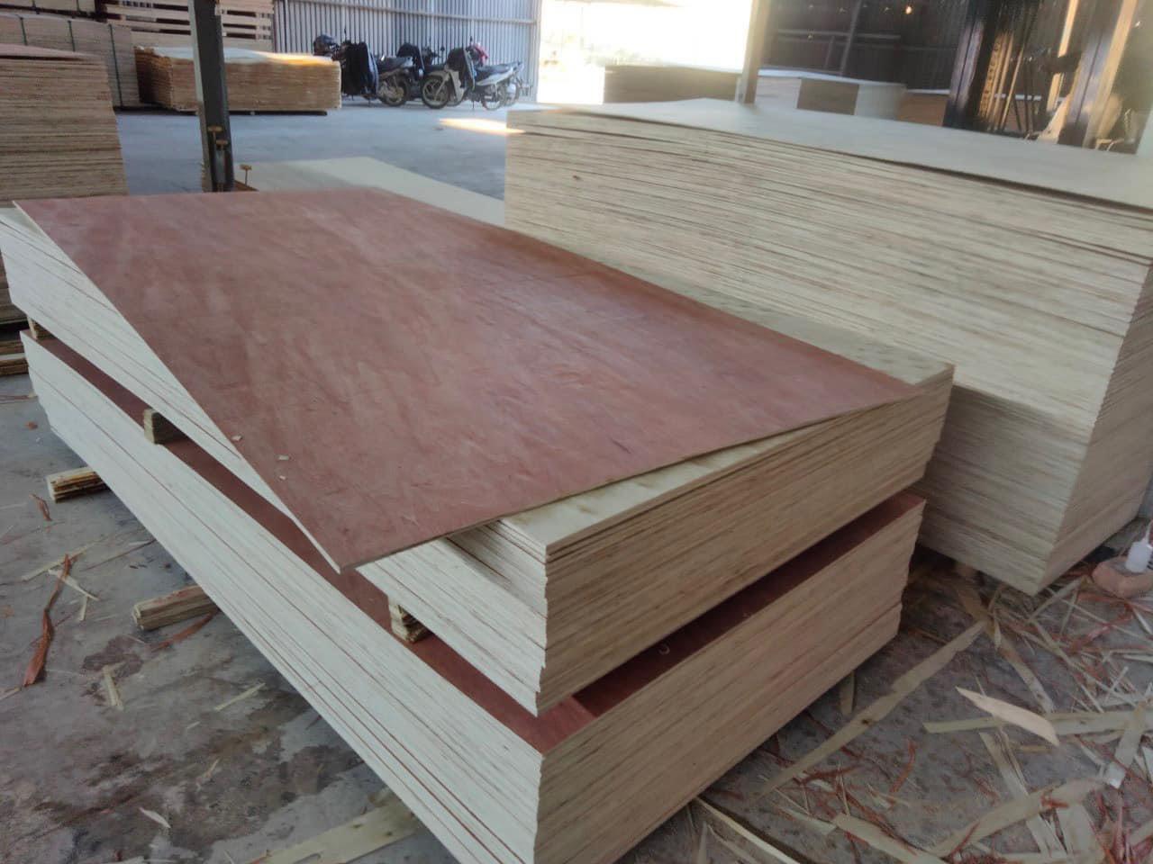 Anh Trịnh Anh Tuấn cần tìm đơn vị vận tải sản phẩm Ván ép sang Ấn Độ