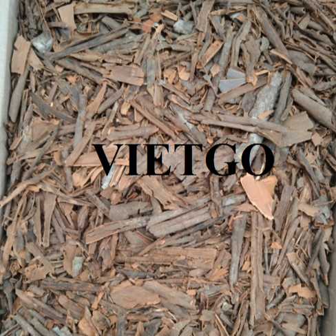 Cơ hội hợp tác xuất khẩu quế vụn sang thị trường Ấn Độ