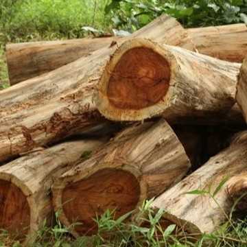 I am looking for Rosewood