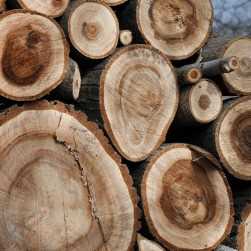 I am looking for Walnut wood
