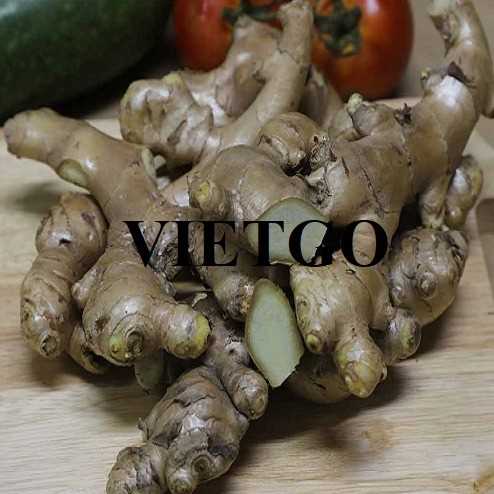Thương vụ xuất khẩu gừng sang thị trường Bangladesh