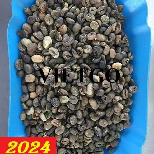 Cơ hội xuất khẩu hạt cà phê hàng tháng cho một thương nhân người Ấn Độ  