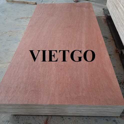 Thương vụ xuất khẩu sản phẩm gỗ dán bao bì đến thị trường Ấn Độ