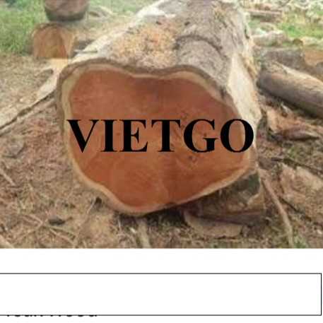 Cơ hội xuất khẩu gỗ teak tròn sang thị trường Bangladesh