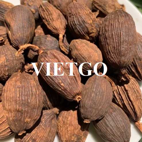 Thương vụ xuất khẩu thảo quả sang thị trường Ấn Độ