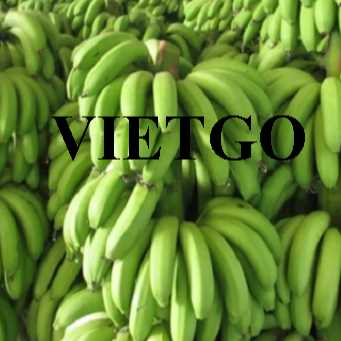 Cơ hội hợp tác xuất khẩu chuối sang thị trường Qatar