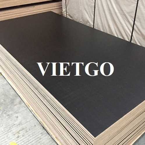 Thương vụ xuất khẩu sản phẩm gỗ dán phủ phim đến thị trường Ba Lan