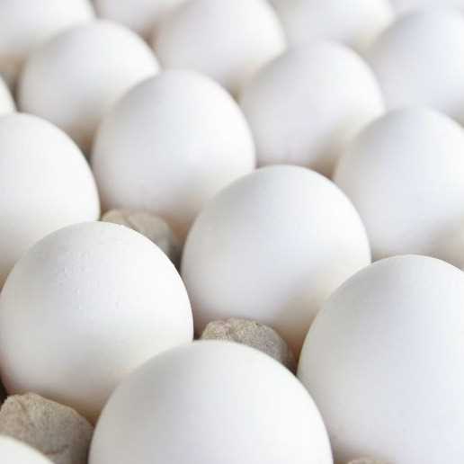 I want to buy 5000 eggs