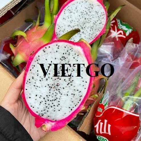 Cơ hội hợp tác xuất khẩu thanh long ruột trắng đến thị trường Sri Lanka