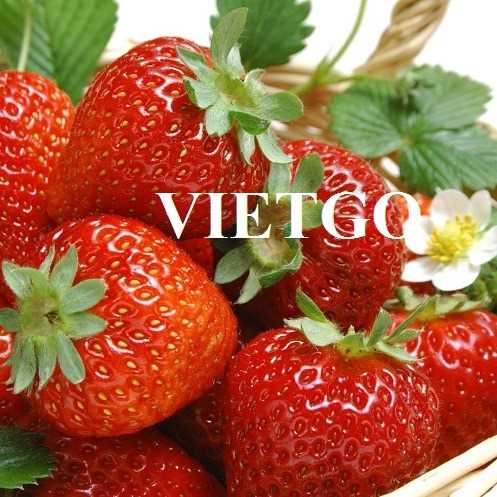 Cơ hội xuất khẩu dâu tây đến thị trường UAE