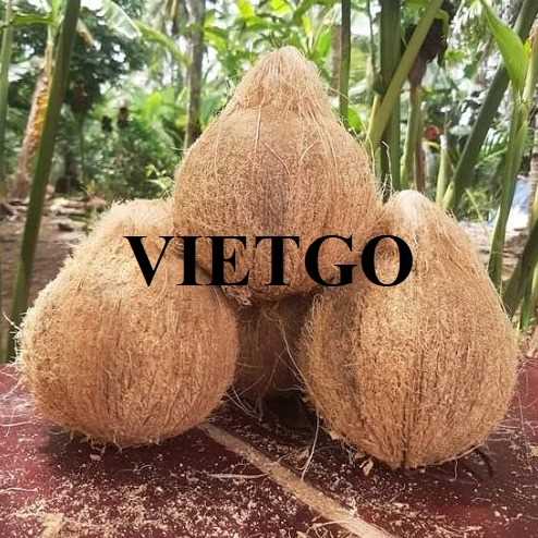 Cơ hội hợp tác xuất khẩu sản phẩm dừa sang thị trường Sri Lanka
