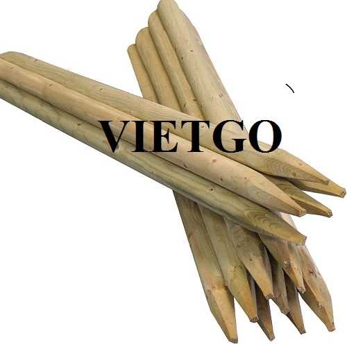 Cơ hội hợp tác xuất khẩu cọc gỗ cố định cây đến thị trường Qatar