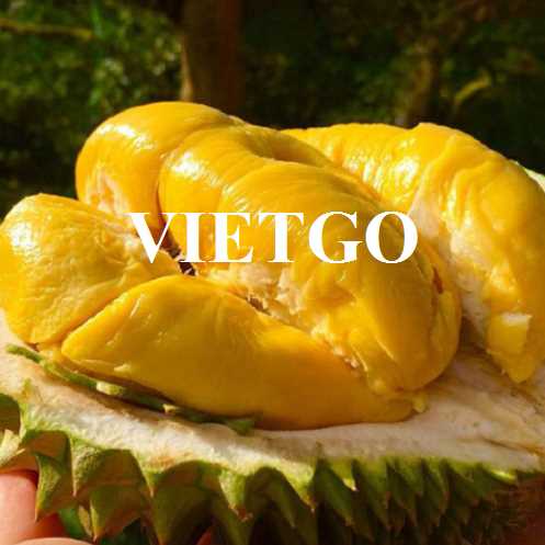 Cơ hội hợp tác xuất khẩu sầu riêng đầy hấp dẫn sang thị trường Trung Quốc