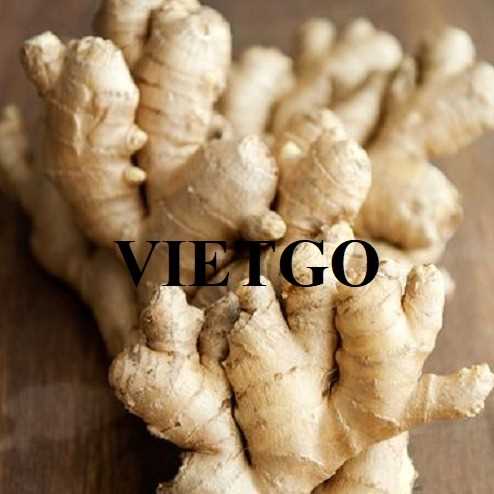 Cơ hội hợp tác xuất khẩu gừng tới thị trường UAE