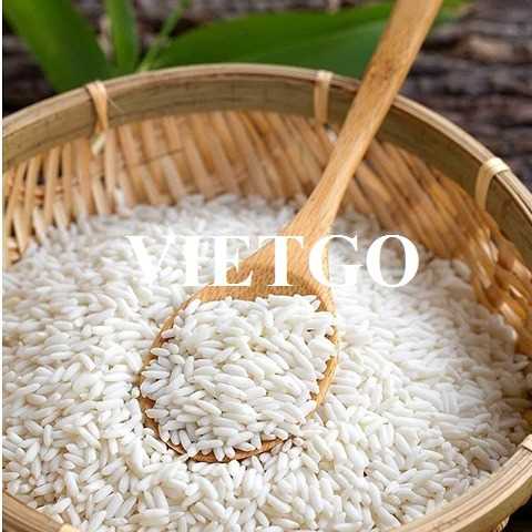 Cơ hội hợp tác xuất khẩu gạo tới các thị trường Đức, Hà Lan, Ý, Pháp