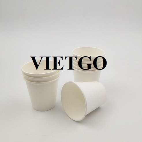 Thương vụ xuất khẩu cốc giấy đến thị trường Ấn Độ 