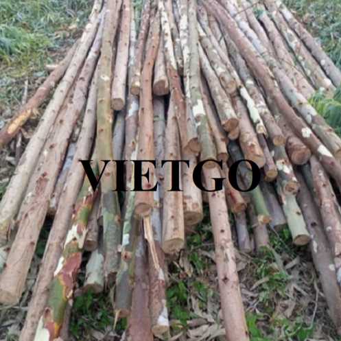 Cơ hội hợp tác xuất khẩu gỗ teak tròn tới thị trường Trung Quốc