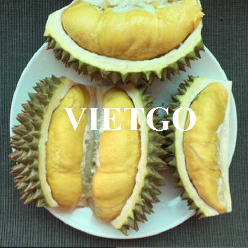 Cơ hội xuất khẩu mặt hàng sầu riêng Monthong đông lạnh sang thị trường Thái Lan