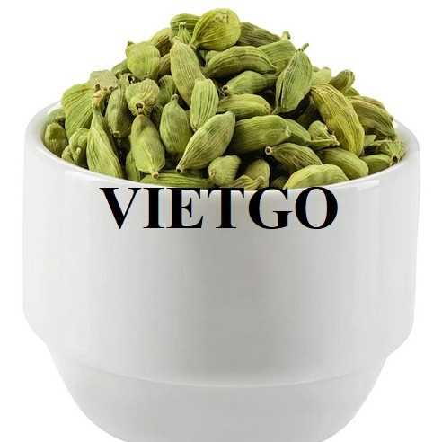 Thương vụ hợp tác xuất khẩu thảo quả xanh sang thị trường Ấn Độ