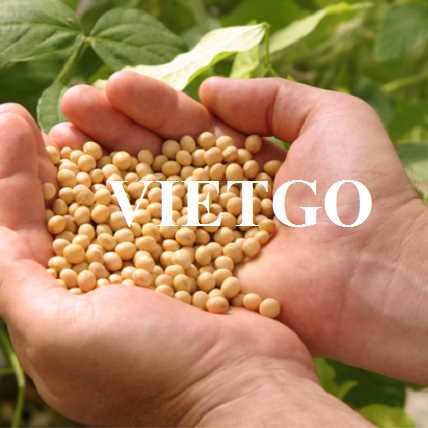 Cơ hội hợp tác xuất khẩu đậu nành sang thị trường Indonesia