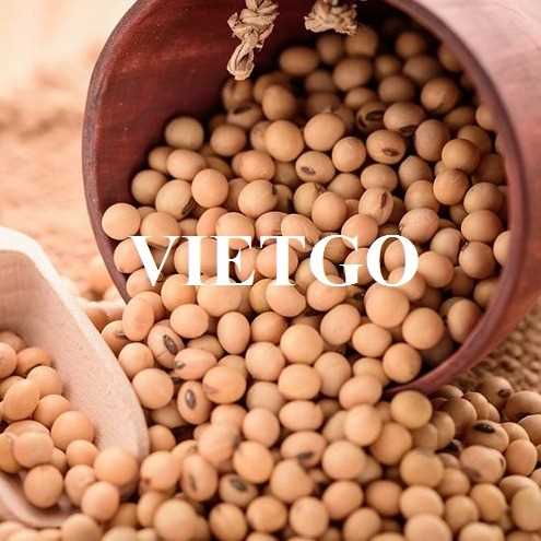 Thương vụ xuất khẩu đậu nành đến thị trường Thổ Nhĩ Kỳ