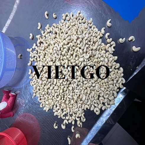 Thương vụ hợp tác xuất khẩu hạt điều sang thị trường Malaysia