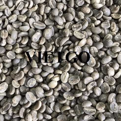 Cơ hội xuất khẩu hạt cà phê xanh sang thị trường Ai Cập