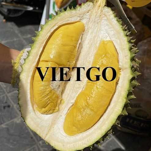 Thương vụ xuất khẩu sầu riêng ri6 sang thị trường Mỹ
