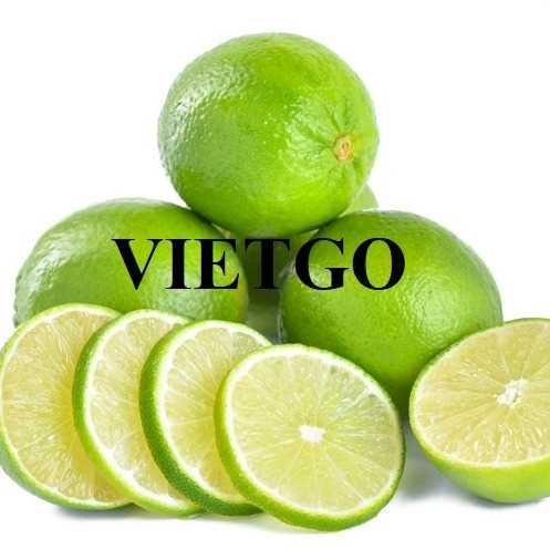 Thương vụ xuất khẩu chanh xanh không hạt đến thị trường Hà Lan