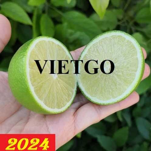 Thương vụ xuất khẩu chanh xanh không hạt sang thị trường Anh