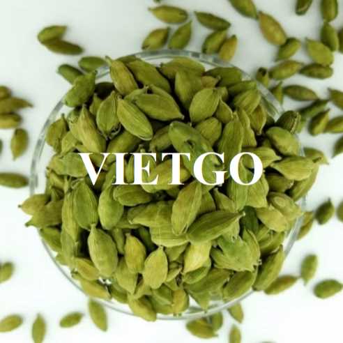 Cơ hội hợp tác xuất khẩu thảo quả xanh và thảo quả nâu đến từ vị khách hàng tại Ba Lan