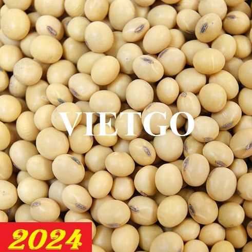 Cơ hội giao thương xuất khẩu đậu nành sang thị trường Ai Cập