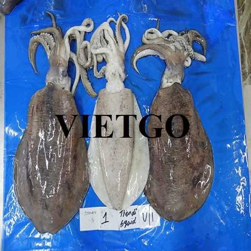 Cơ hội xuất khẩu mực sang thị trường Đài Loan