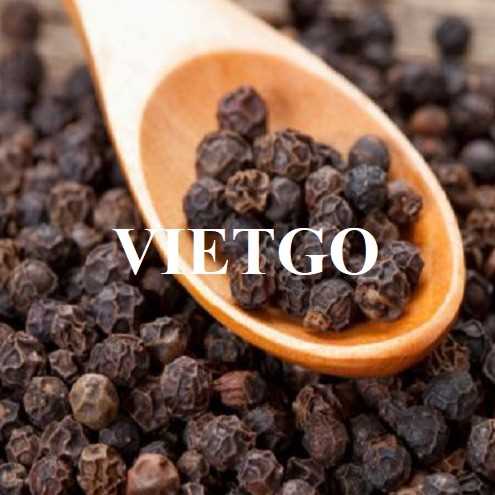 Cơ hội xuất khẩu hạt tiêu đen sang thị trường Bangladesh