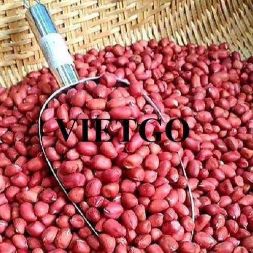Cơ hội hợp tác xuất khẩu lạc sang thị trường Ý