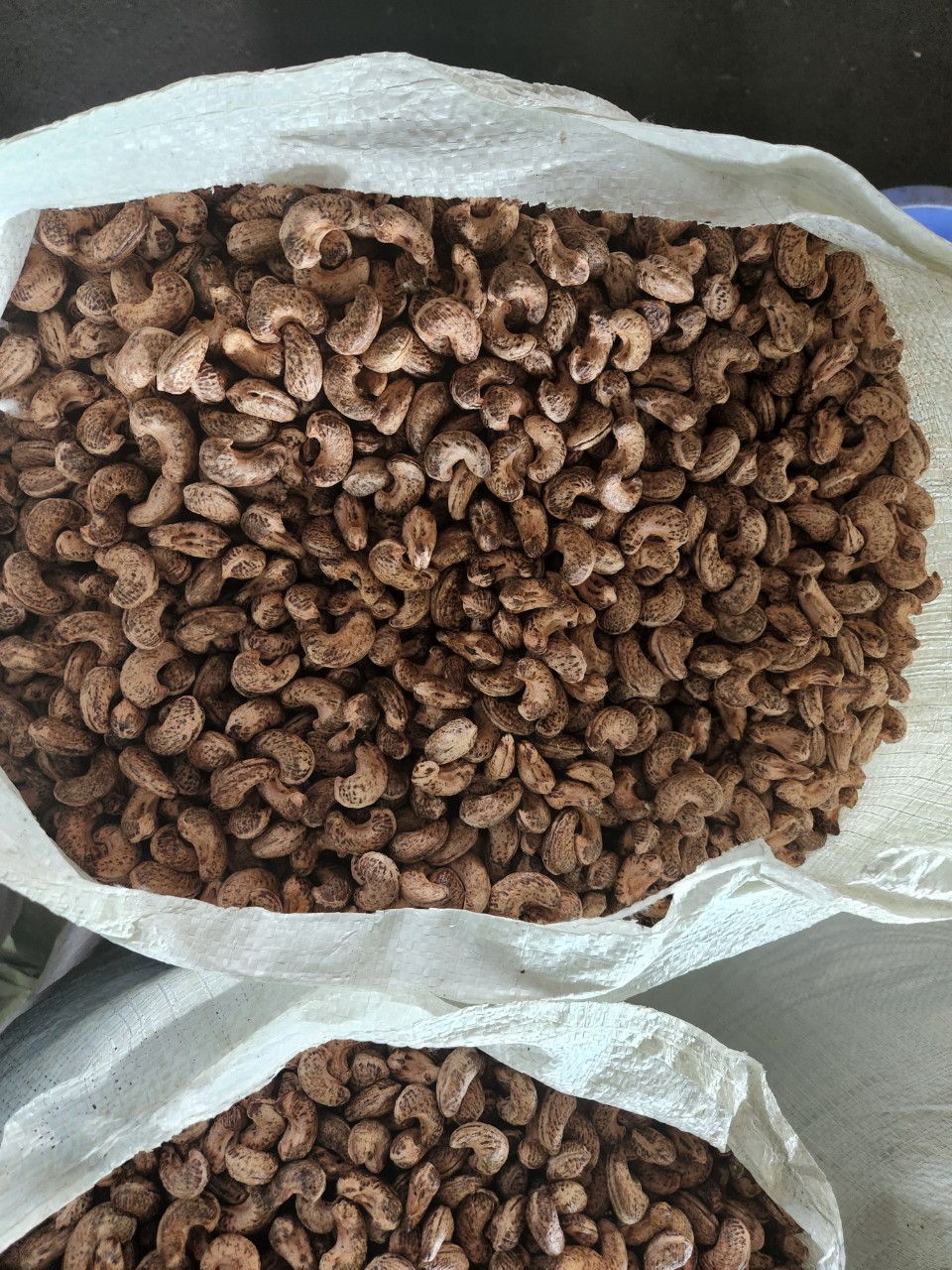 Cần tìm đơn vị vận tải  vận chuyển mặt hàng hạt điều đi Ý