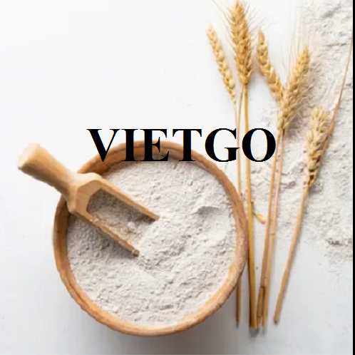 Cơ hội hợp tác xuất khẩu bột mì sang thị trường Mỹ