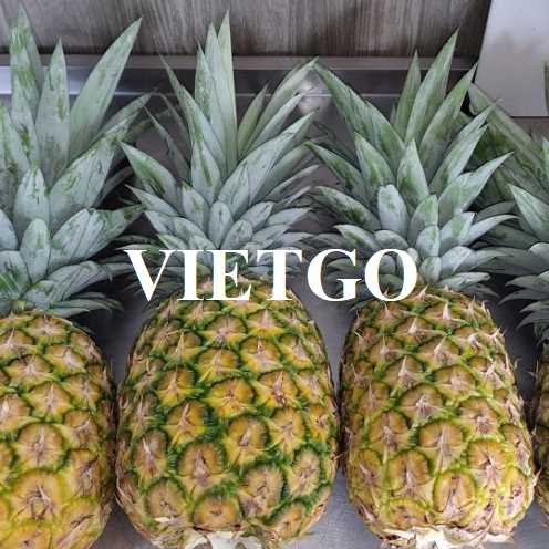 Cơ hội hợp tác xuất khẩu dứa tới thị trường Oman  