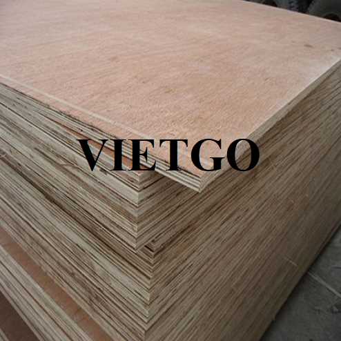 Thương vụ xuất khẩu gỗ dán sang thị trường Ấn Độ
