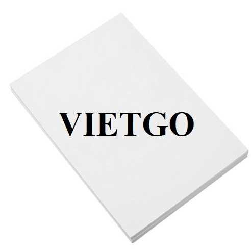 Cơ hội xuất khẩu giấy A4 sang thị trường Bỉ