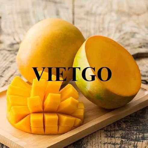 Cơ hội hợp tác xuất khẩu xoài tươi sang thị trường Thái Lan